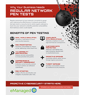 Unleash the Power of Network PEN Testing: What It Is and Why You Need It