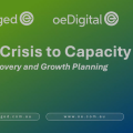 Lunch N Learn Session: From Crisis to Capacity